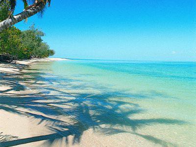 Bedarra Island Hotel Great Barrier Reef Zewnętrze zdjęcie